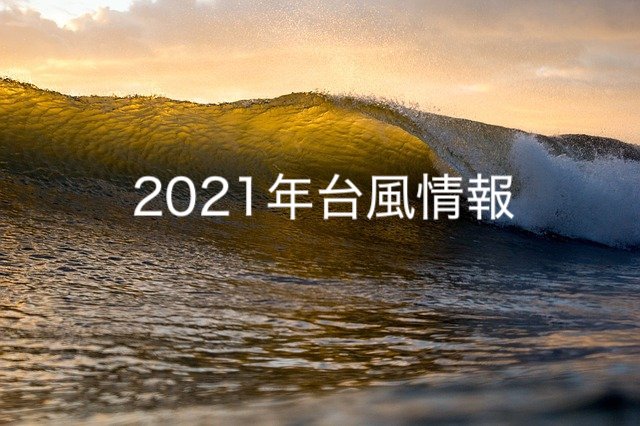 サーフィン情報サイト 日本のサーフポイント ８８８