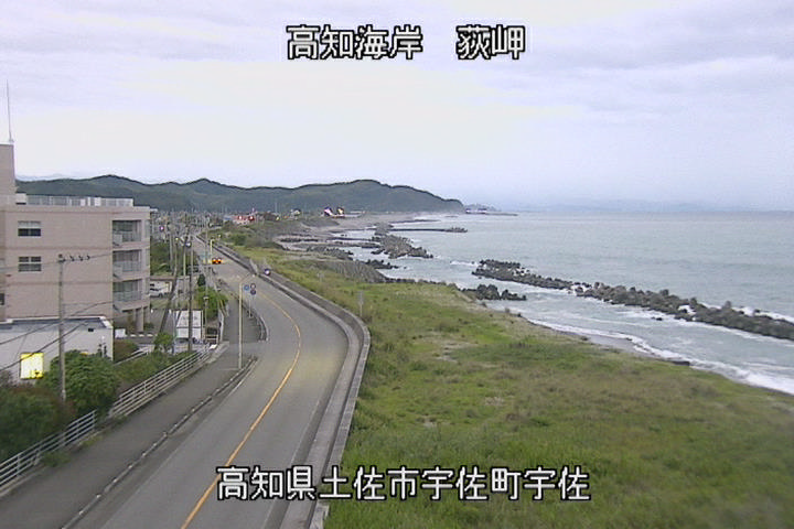 高知海岸（土佐市）ライブカメラの現在の映像